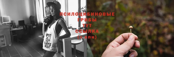 гидра Абинск