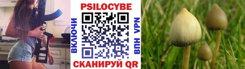 Галлюциногенные грибы мицелий  Спас-Клепики 